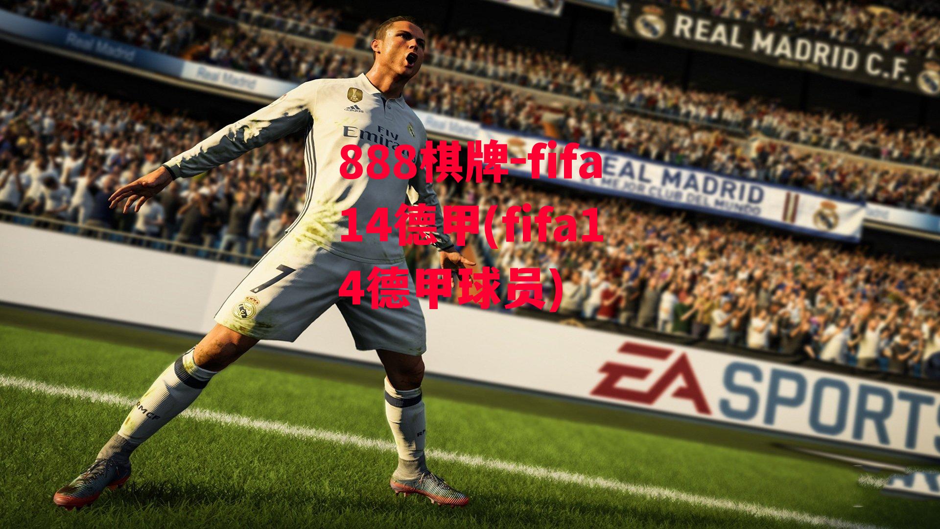 fifa14德甲(fifa14德甲球员)