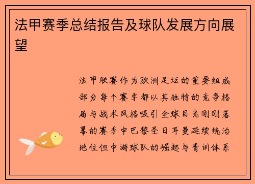 法甲赛季总结报告及球队发展方向展望